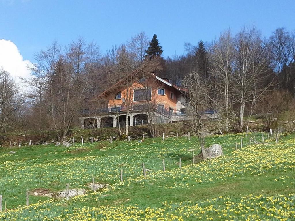 Gite De La Lombarde 勒索里 外观 照片